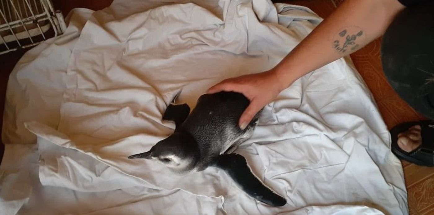 1646070089870.jpg?x=20&y=3&width=941&height=471&rotate=0&scaleX=1&scaleY=1&ow=1032&oh=477&&cw=1920&ch=950