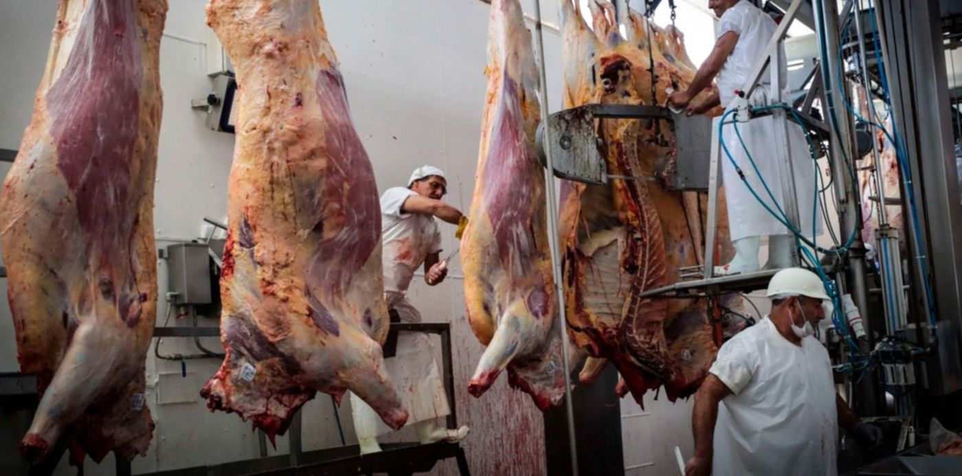 1641213449080.jpg?x=13&y=200&width=1474&height=737&rotate=0&scaleX=1&scaleY=1&ow=1500&oh=1000&&cw=1920&ch=950