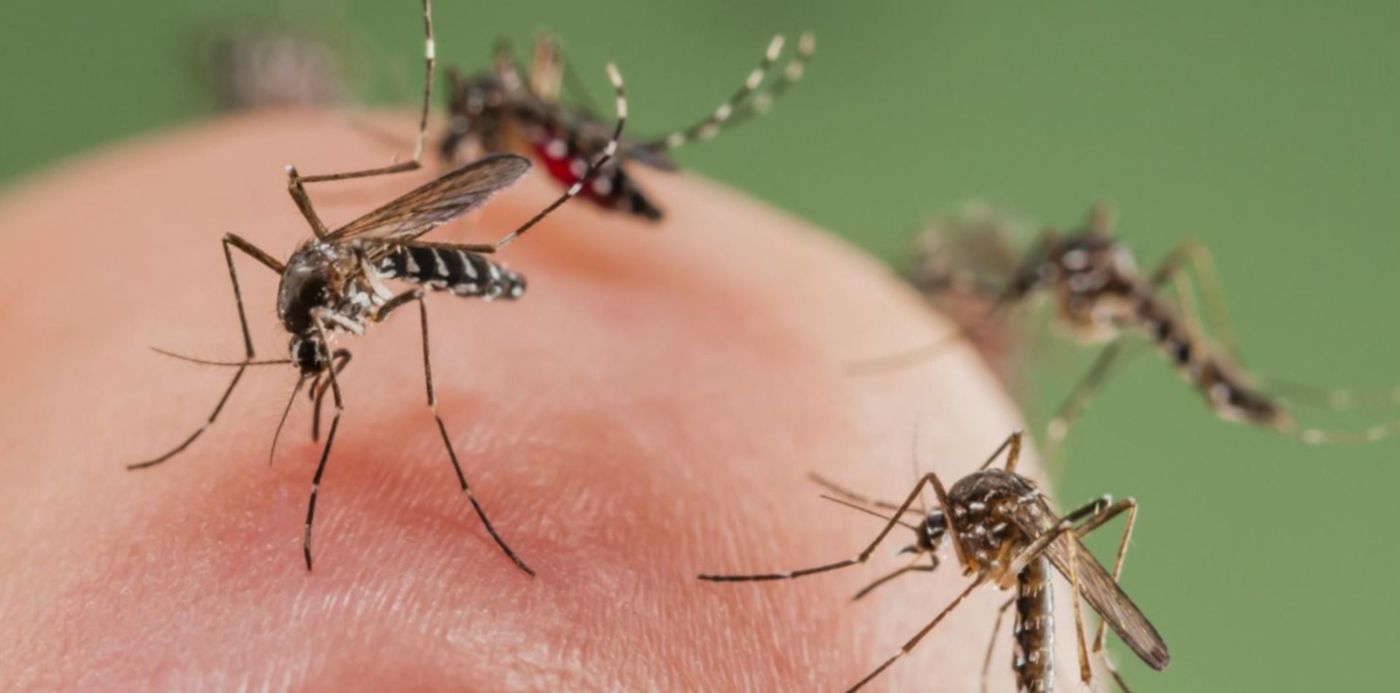 1543277281603.jpg?x=7&y=128&width=1486&height=743&rotate=0&scaleX=1&scaleY=1&ow=1500&oh=996&&cw=1920&ch=950