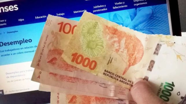 el gobierno estudia reconvertir el ife en un programa de capacitacion y empleo de jovenes