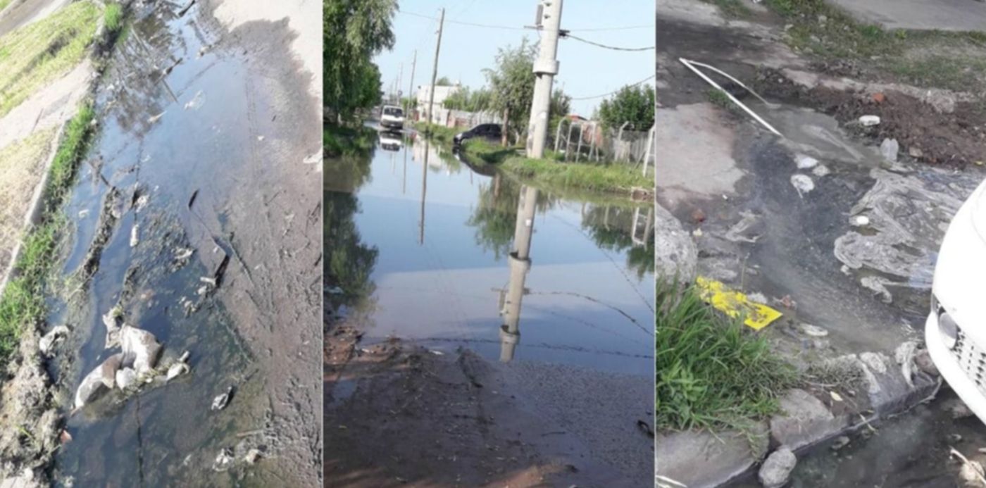 1574166356445.jpg?ow=1200&x=13&y=21&rotate=0&scaleY=1&oh=732&width=1182&height=591&scaleX=1&&cw=1920&ch=950