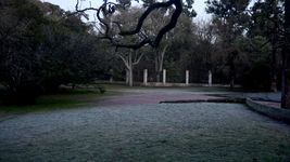 la plata vive el dia mas frio del ano y asi seguira el clima durante el fin de semana la plata vive el dia mas frio del ano y asi seguira el clima durante el fin de semana