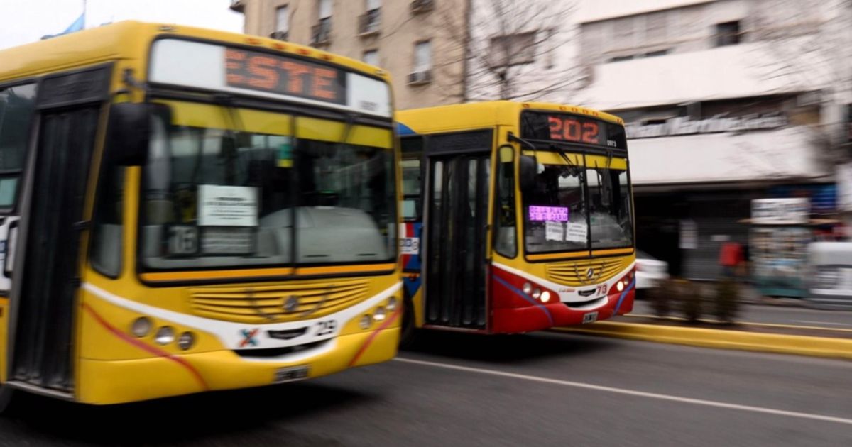 ¿Qué va a pasar con el paro de micros en La Plata?