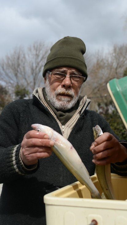 Un pescador de La Plata halló un pez que podría transformar el ecosistema  del Río de la Plata para siempre