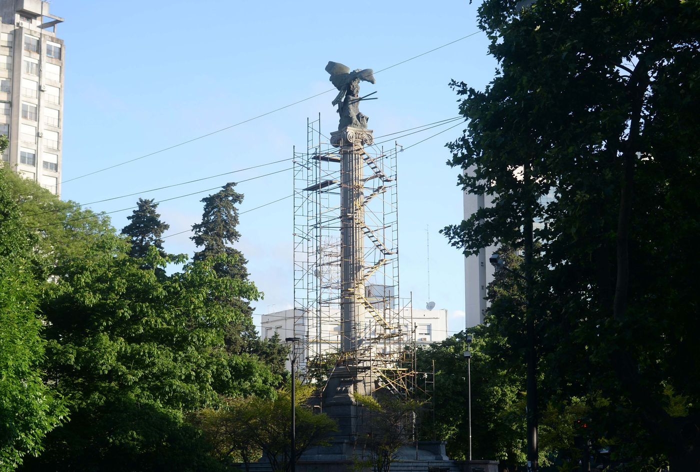 Mudanza águila de Plaza Italia (3).jpg