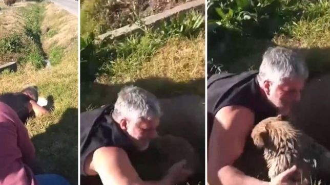 video: un peluquero platense rescato a un perro que se ahogaba y se convirtio en heroe