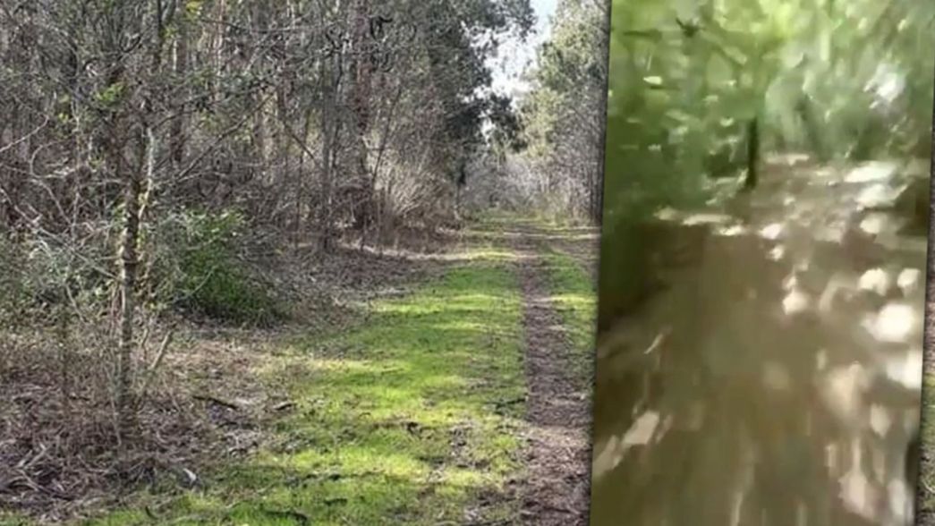 Dos detenidos por el ataque a la joven que filmó el intento de robo en el Parque Pereyra