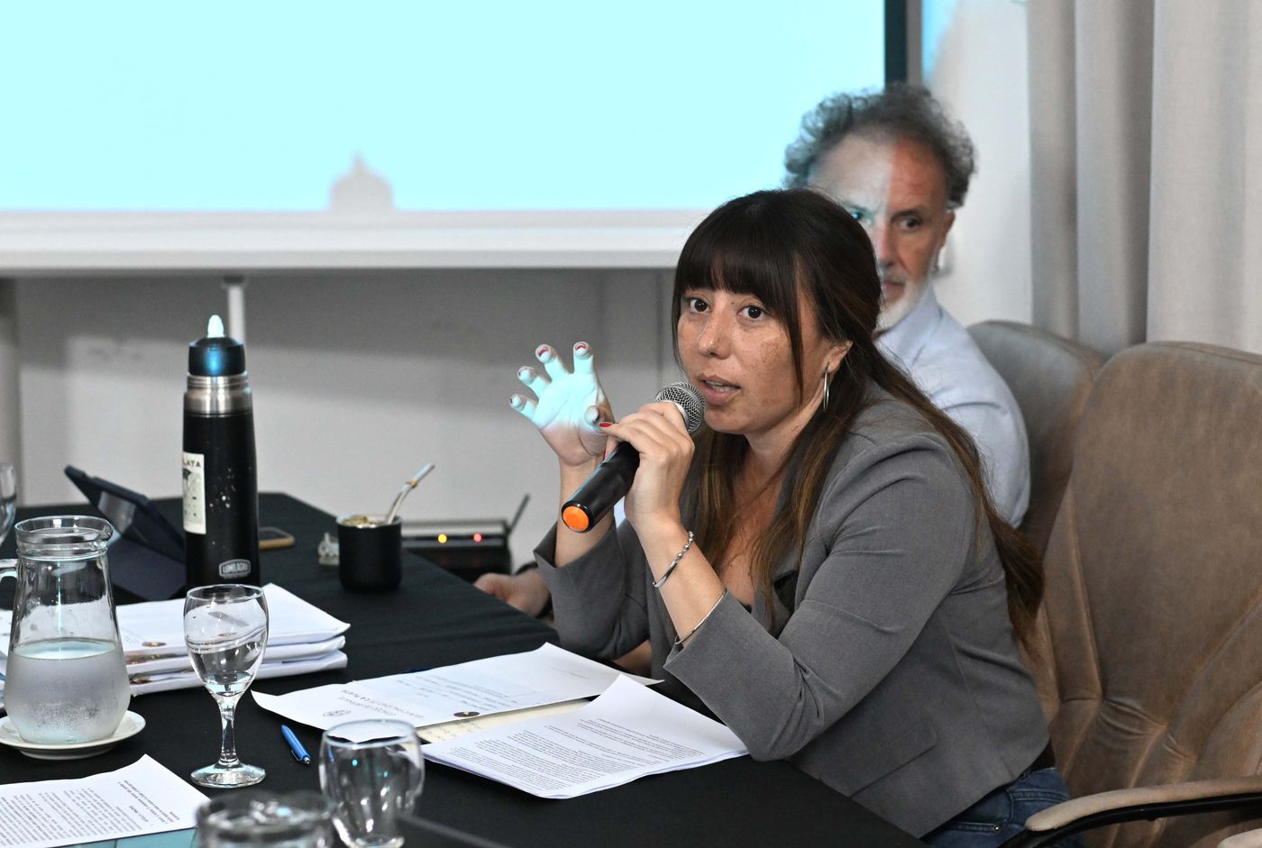 La Comisión de Planeamiento que preside Cintia Mansilla volverá a reunirse el martes La Comisión de Planeamiento que preside Cintia Mansilla volverá a reunirse el martes