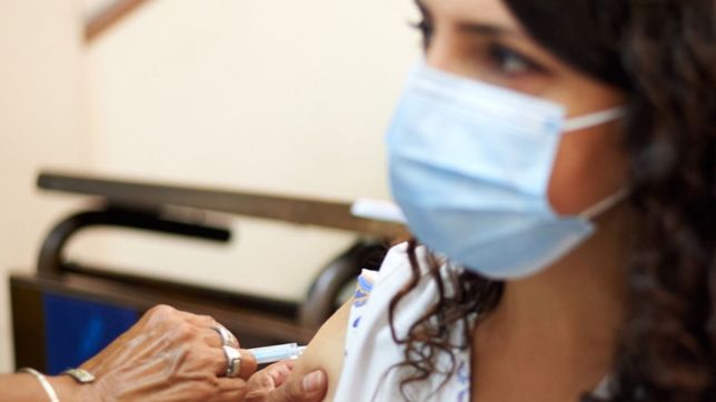 la vacuna argentina contra el covid-19 podria entrar en fase 1 a principios de 2022