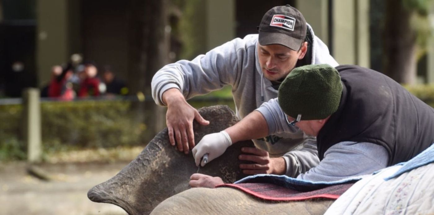 1528028874439.jpg?&cw=1920&ch=950