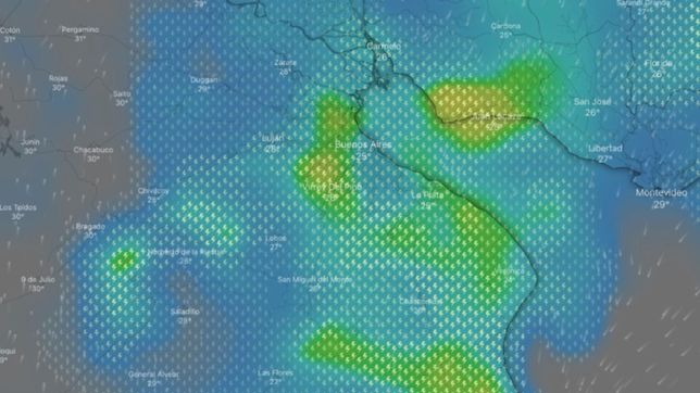 se acerca la tormenta a la plata: la imagen de radar que muestra la llegada del temporal