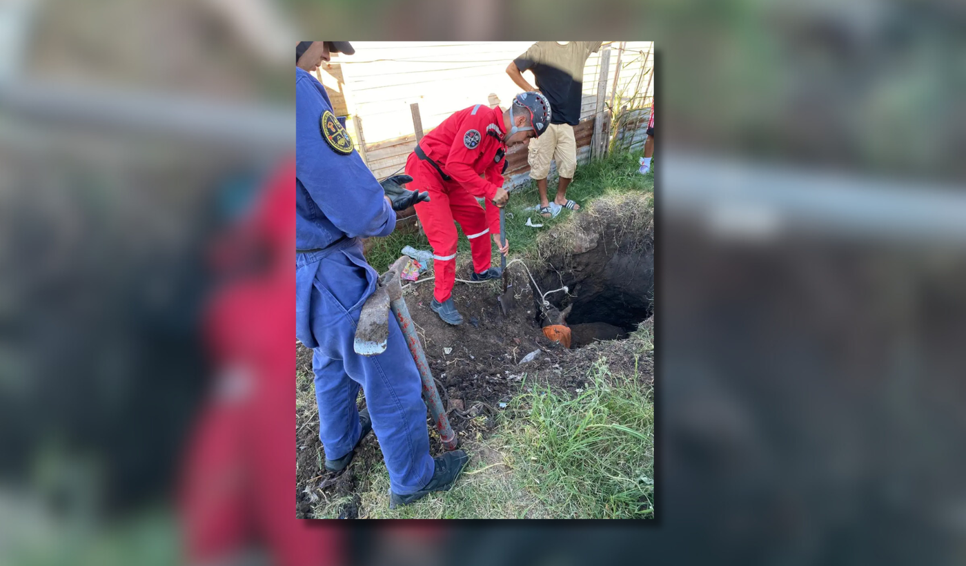 Portada rescate de caballo.png