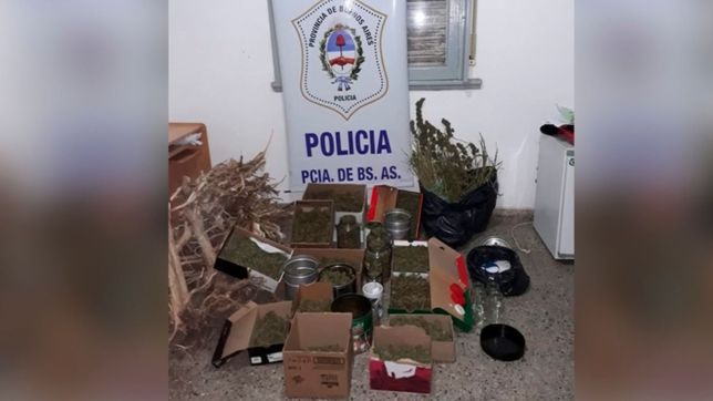 allanaron una casa en ensenada y secuestraron mas de cinco kilos de marihuana