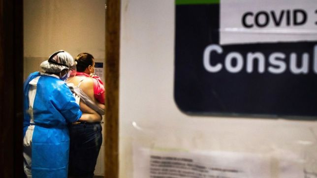 descenso de casos, muertes e internaciones: cual es el futuro de la pandemia en argentina