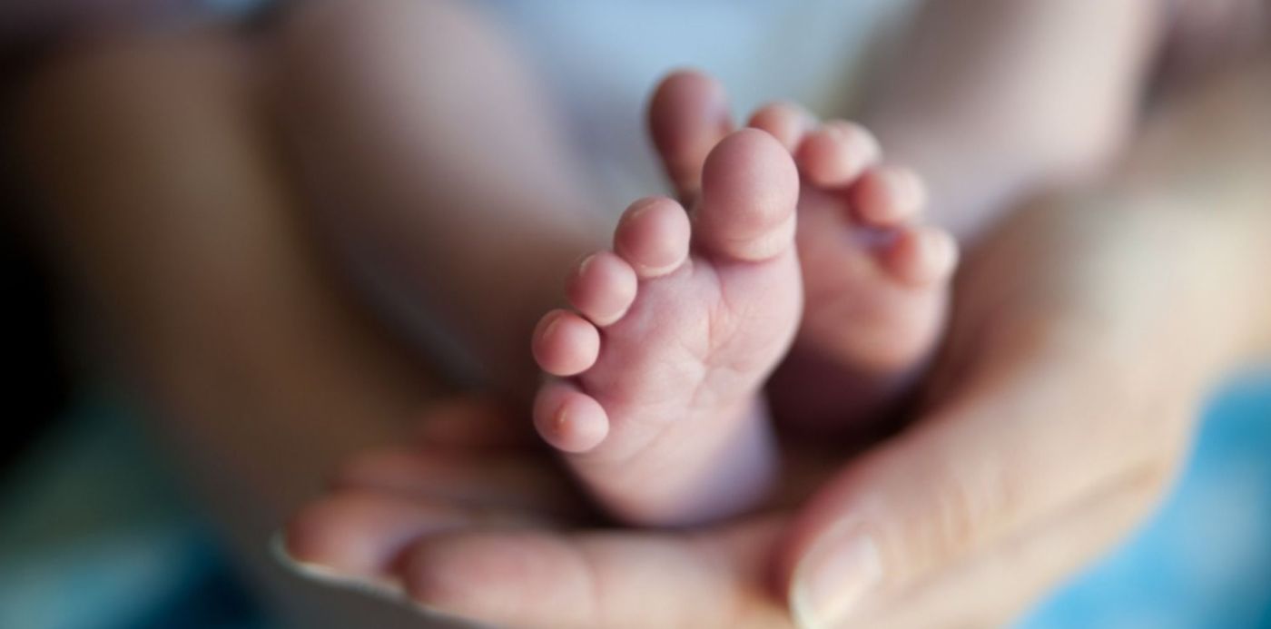 1553802900166.jpg?x=10&y=139&width=1486&height=743&rotate=0&scaleX=1&scaleY=1&ow=1500&oh=997&&cw=1920&ch=950