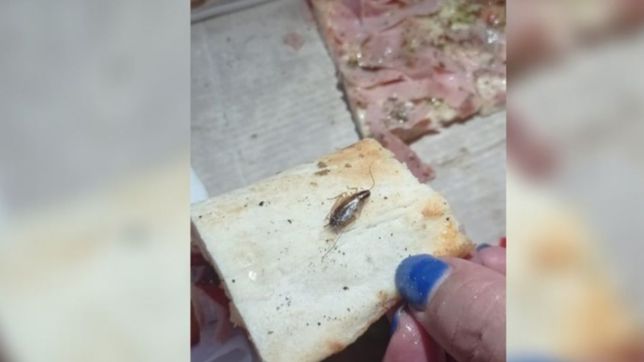video: compro pizzas en una cerveceria de la plata y le llegaron llenas de cucarachas