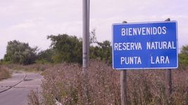 polemica por las obras en camino negro: objetaron un estudio de impacto ambiental