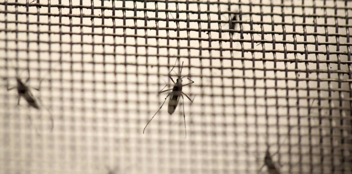 1680863891426.jpg?x=10&y=157&width=1480&height=740&rotate=0&scaleX=1&scaleY=1&ow=1500&oh=1027&&cw=1920&ch=950