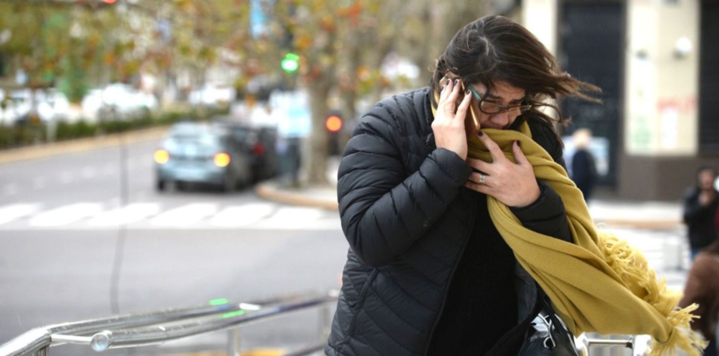 1577207282238.jpg?x=3&y=137&width=1494&height=746&rotate=0&scaleX=1&scaleY=1&ow=1500&oh=936&&cw=1920&ch=950