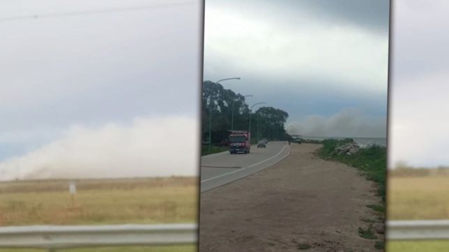 video: se prenden fuego pastizales en florencio varela y el humo se ve desde punta lara