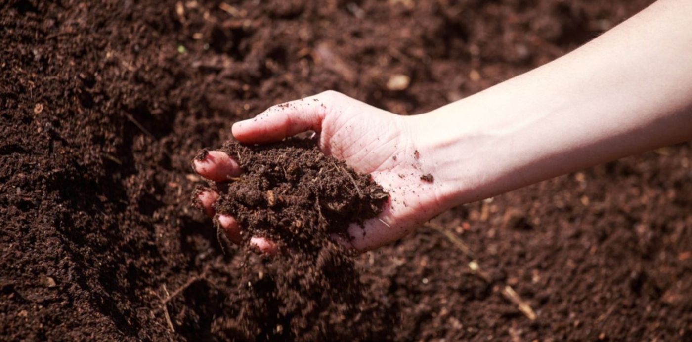 1616545320084.jpg?x=7&y=93&width=1487&height=743&rotate=0&scaleX=1&scaleY=1&ow=1500&oh=1000&&cw=1920&ch=950