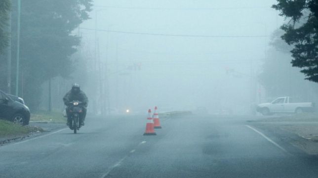 niebla y frio en la plata: dia por dia, asi seguira el clima durante toda la semana