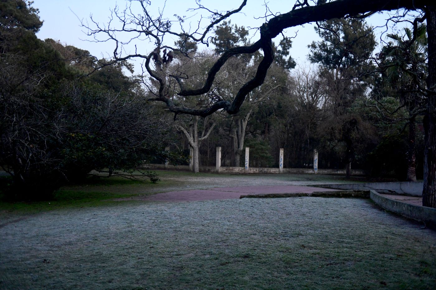 heladas frio en La Plata-0001 (8).JPG