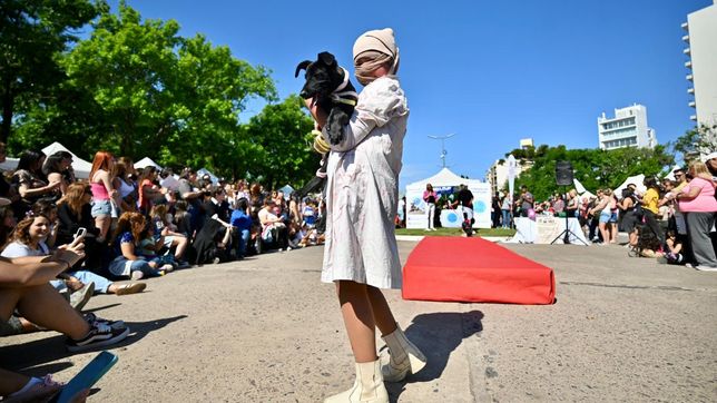 vuelve el desfile de mascotas la plata con feria, adopcion y actividades gratuitas