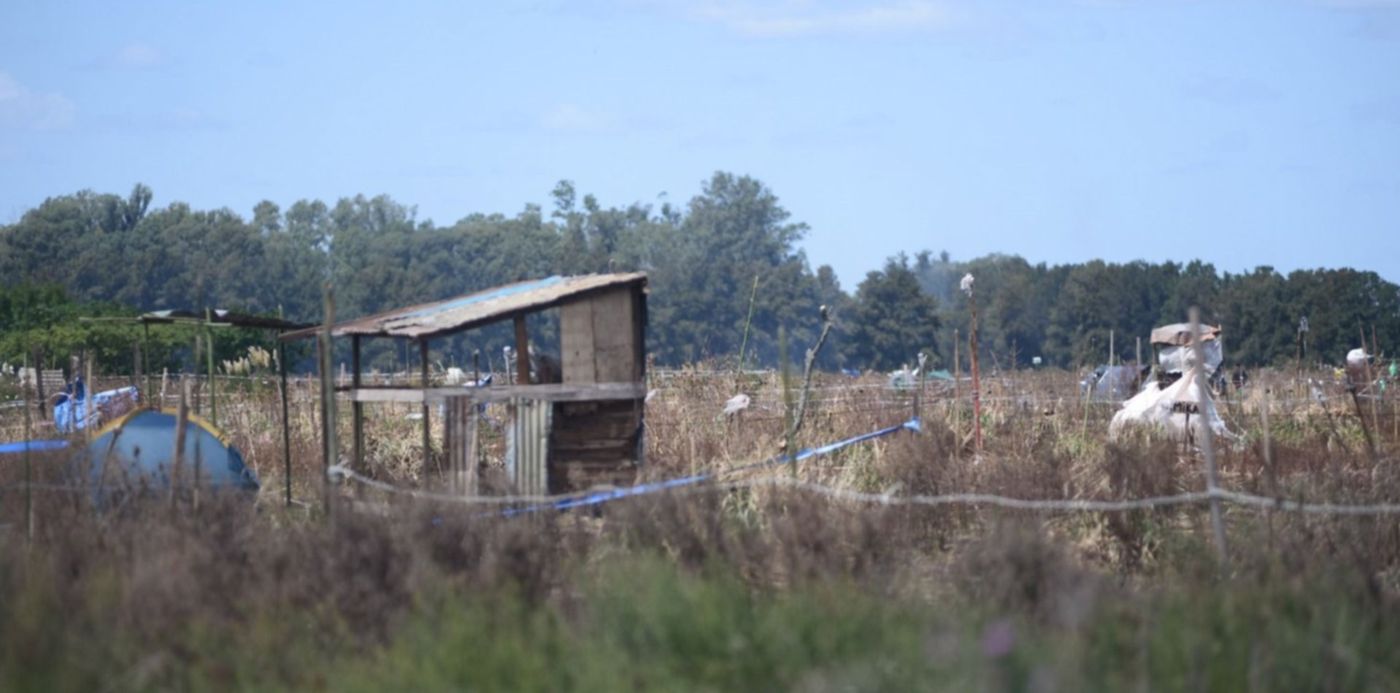 1582227380279.jpg?x=10&y=43&width=1480&height=739&rotate=0&scaleX=1&scaleY=1&ow=1500&oh=998&&cw=1920&ch=950