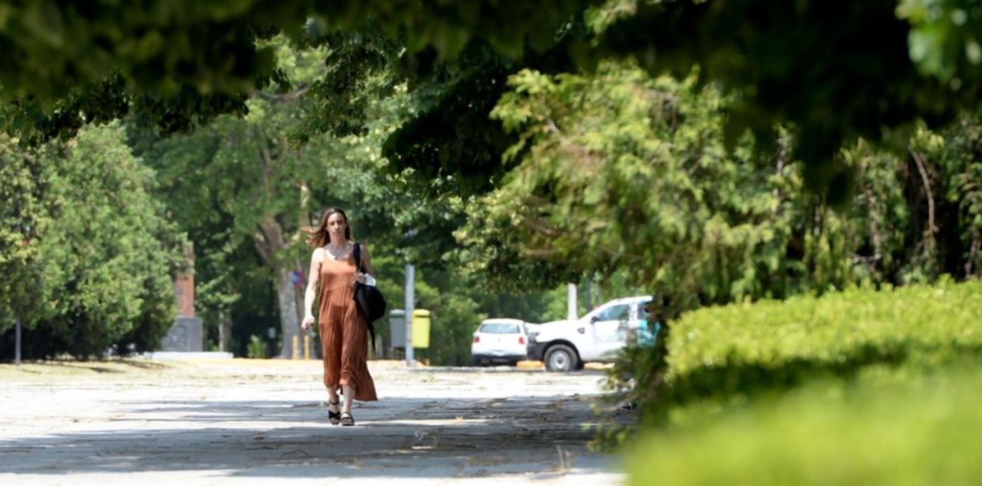 1640888872877.jpeg?x=9&y=75&width=1262&height=631&rotate=0&scaleX=1&scaleY=1&ow=1280&oh=939&&cw=1920&ch=950