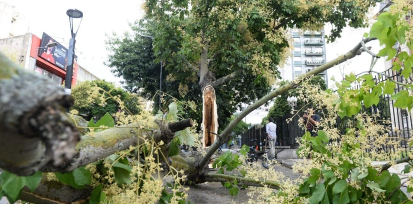 1670889329774.jpeg?x=9&y=135&width=1265&height=632&rotate=0&scaleX=1&scaleY=1&ow=1280&oh=850&&cw=1920&ch=950