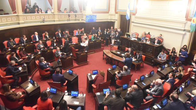 el senado dio media sancion a la reeleccion indefinida de legisladores provinciales