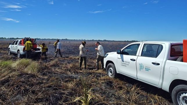 un nuevo incendio en el parque pereyra iraola puso en riesgo a personas, viviendas e invernaculos