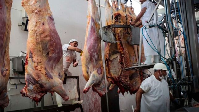 ¿cuales son los siete cortes de carne que el gobierno prohibio exportar por dos anos?