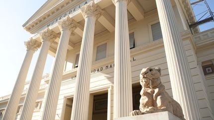 El Museo de Ciencias Naturales lanzó nuevas becas para estudiantes de la UNLP