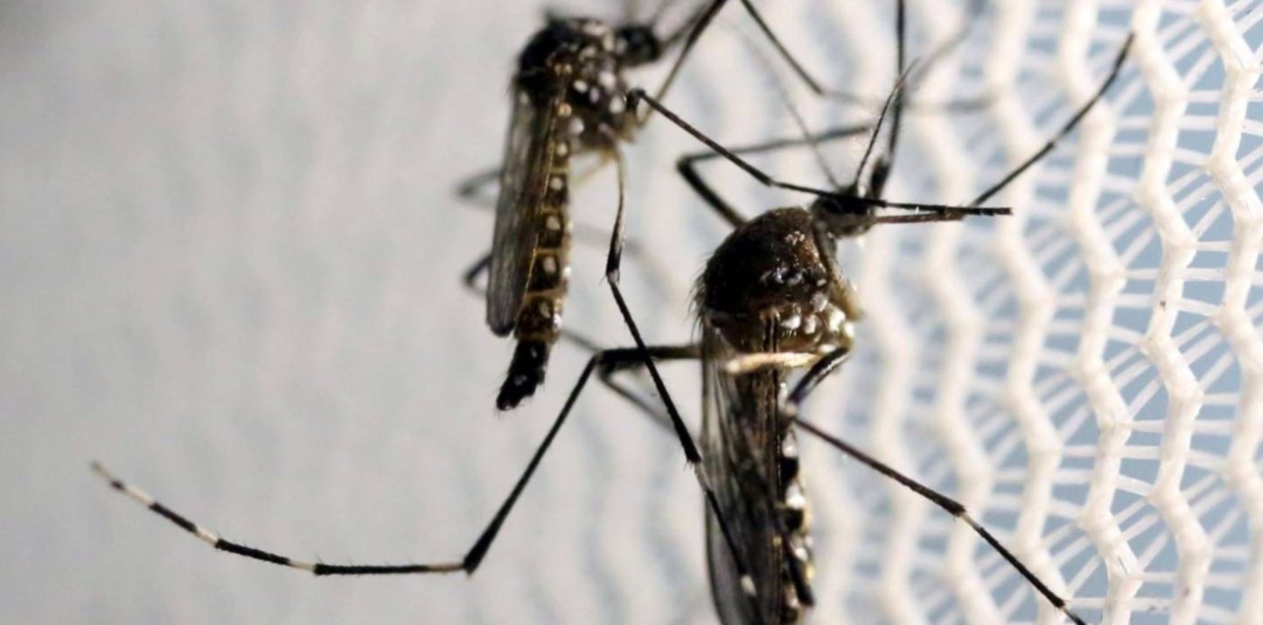 1582765968483.jpg?y=117&height=725&scaleX=1&ow=1464&oh=976&x=7&width=1451&rotate=0&scaleY=1&&cw=1920&ch=950