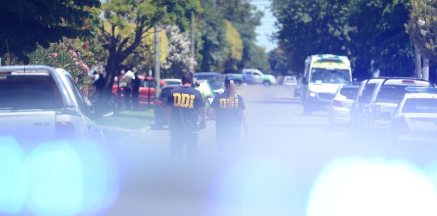 1580403769178.jpg?width=1492&ow=1500&oh=996&x=4&height=746&rotate=0&scaleX=1&scaleY=1&y=0&&cw=1920&ch=950