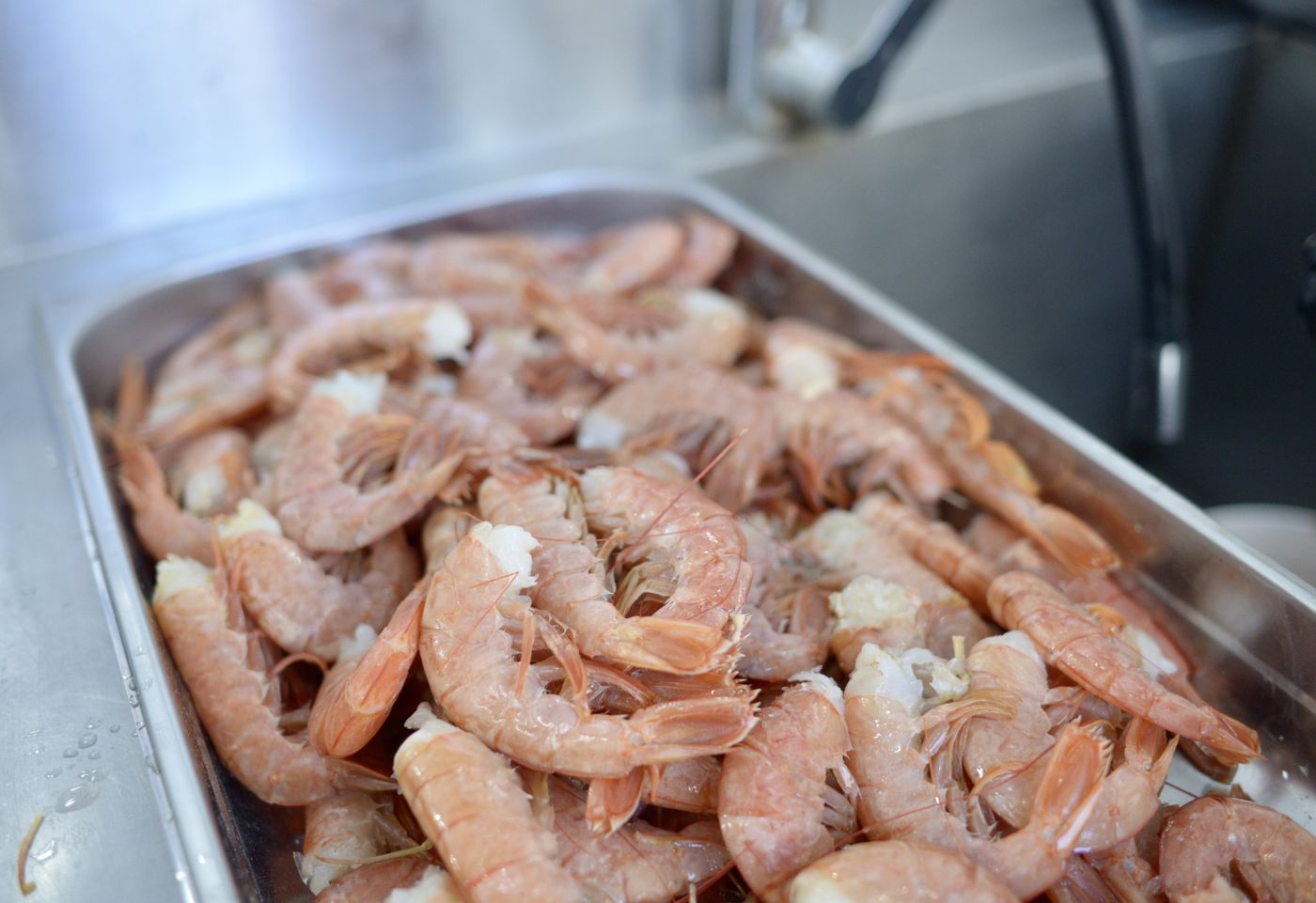 Pescaderías (4).jpg