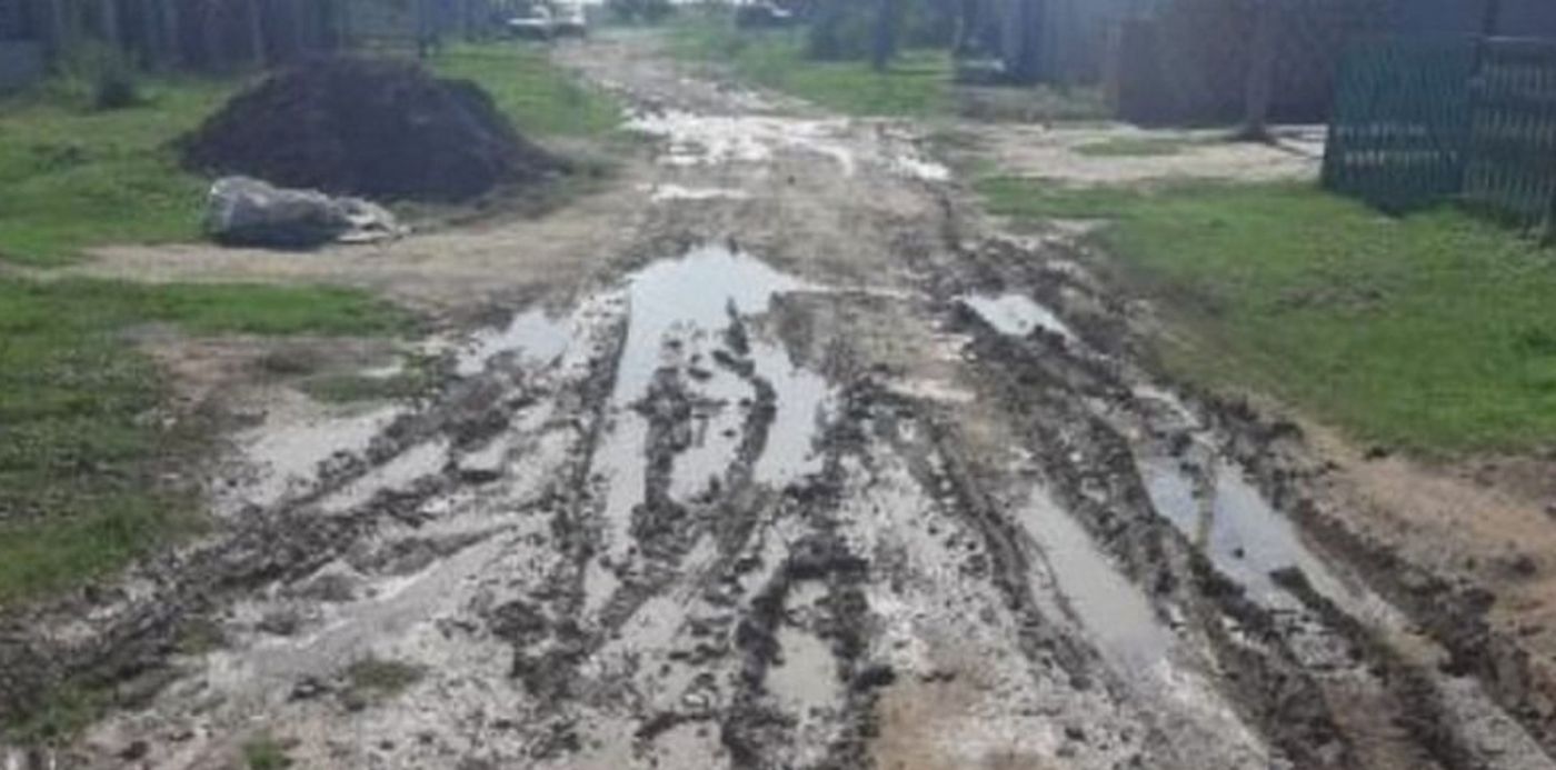 1617050192691.jpg?x=12&y=0&width=782&height=391&rotate=0&scaleX=1&scaleY=1&ow=799&oh=579&&cw=1920&ch=950