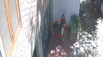 Hasta las plantas se roban: denuncian un insólito hecho en un barrio de La Plata