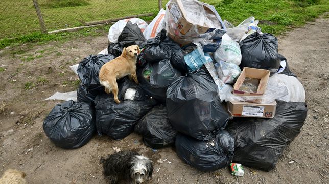 vecinos cargaron contra la municipalizacion de la recoleccion de basura