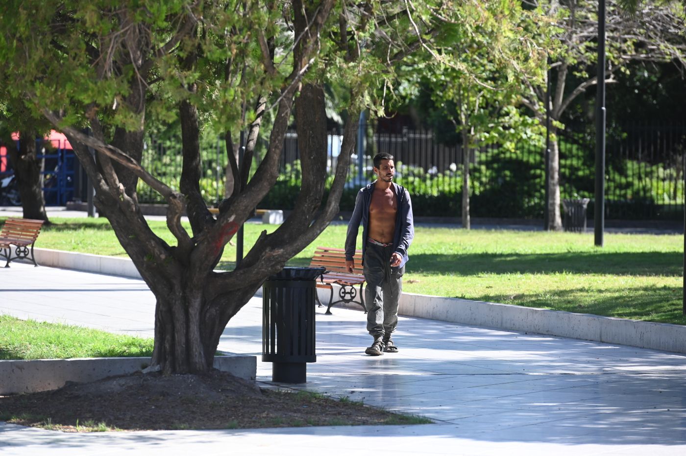 Altas temperaturas calor  (12)