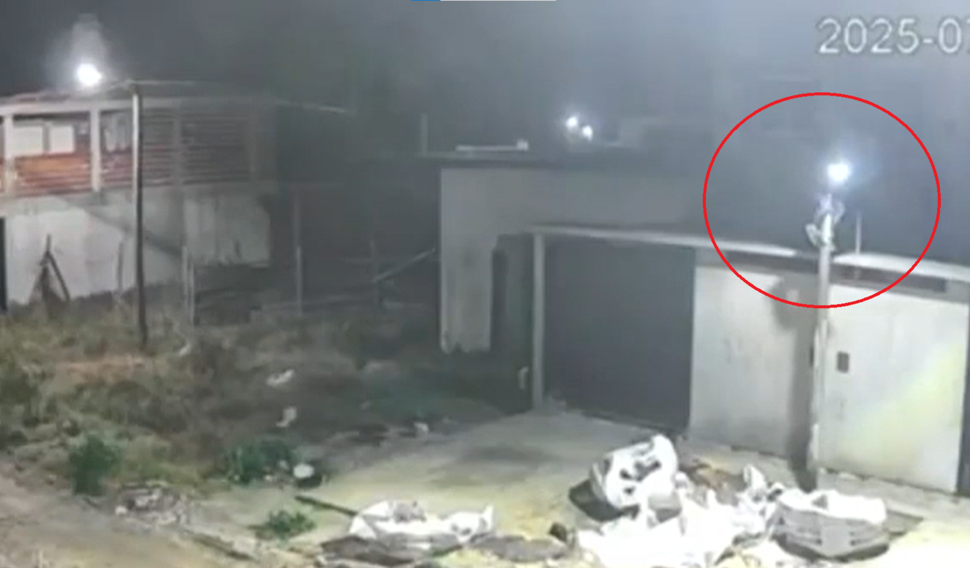 Trepadores Melchor Romero