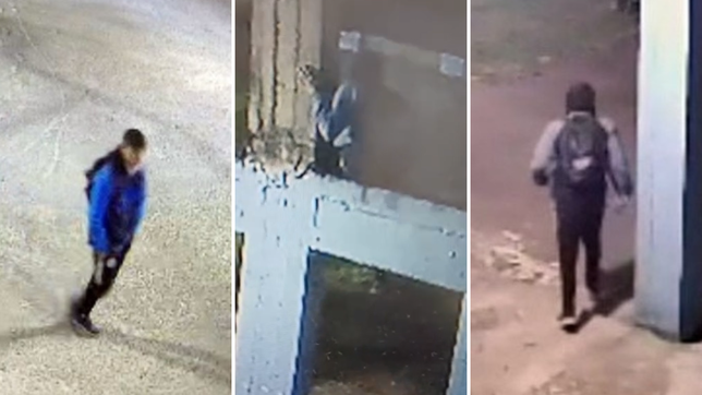 al igual que en el bosque, villa san carlos denuncio robos en las instalaciones electricas de su estadio