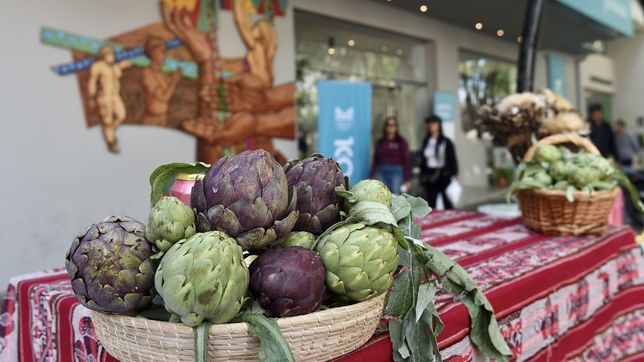 anuncian la fecha para la fiesta del alcaucil en la plata con stands gastronomicos y variedad de platos