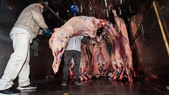 preparan un anuncio de precios populares de los cortes de carne para las fiestas