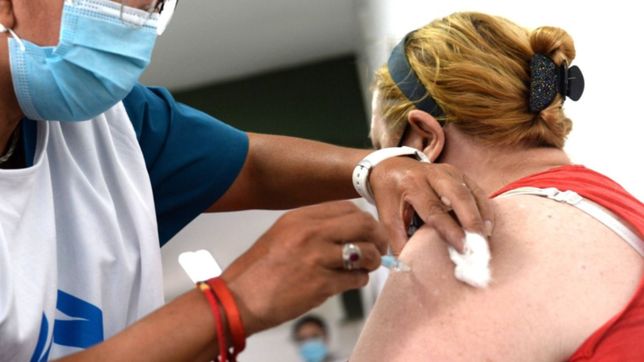 compraran 20 millones de carnets para certificar quienes ya se vacunaron contra el covid-1