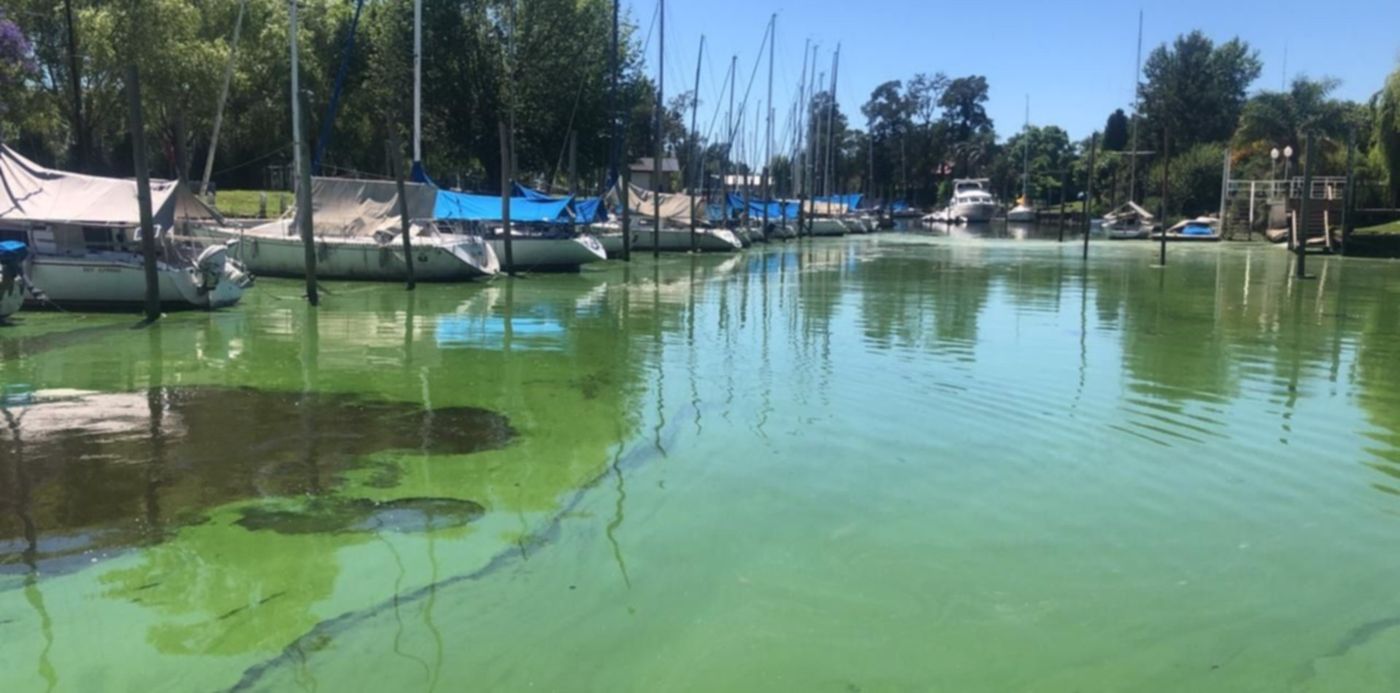 1607440008079.jpeg?x=0&y=20&width=1280&height=640&rotate=0&scaleX=1&scaleY=1&ow=1280&oh=720&&cw=1920&ch=950