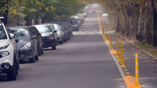 asi quedo reforzada la bicisenda que une las plazas moreno y malvinas