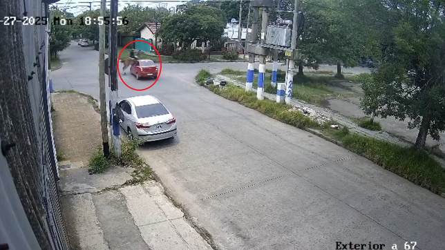 un automovilista atropello a un jinete, le fracturo la cadera y se fue sin dejar sus datos